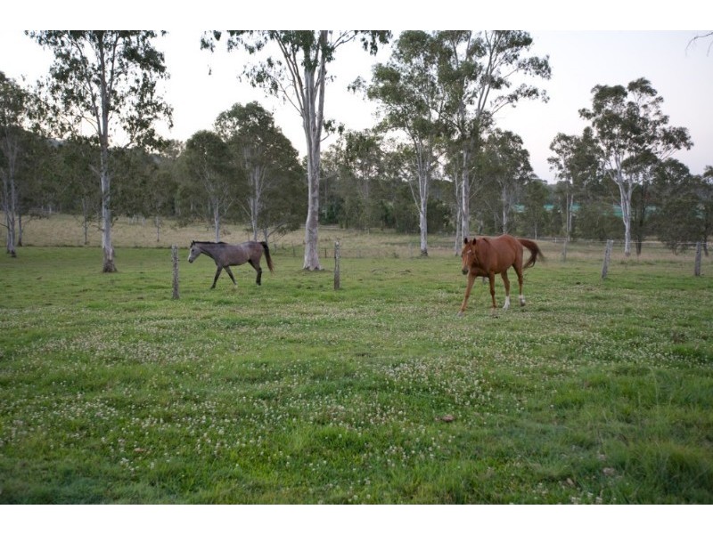 1608 Kin Kin Road, Wolvi QLD 4570