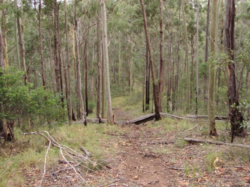 lot2 Antimony Road, Neerdie QLD 4570