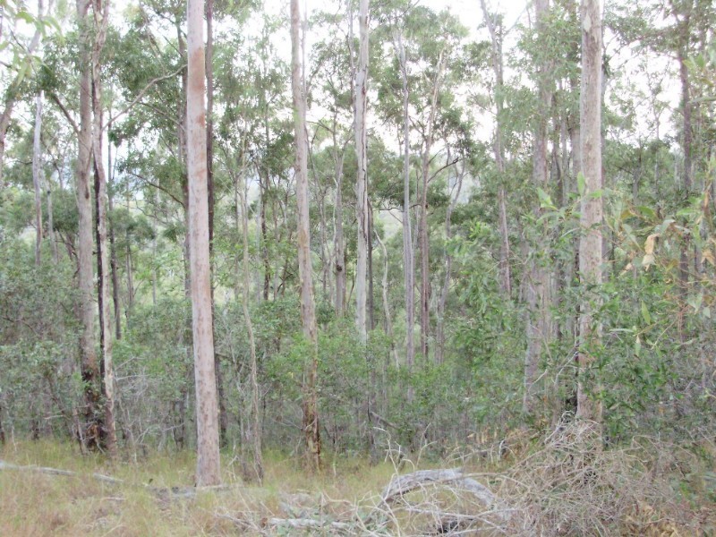 lot2 Antimony Road, Neerdie QLD 4570