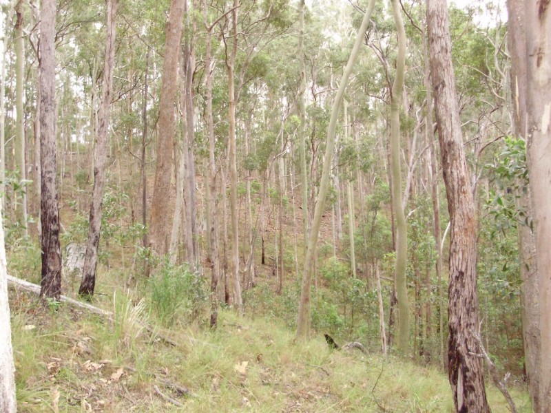 lot2 Antimony Road, Neerdie QLD 4570