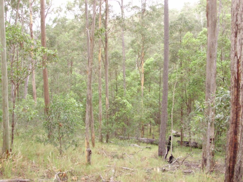 lot2 Antimony Road, Neerdie QLD 4570