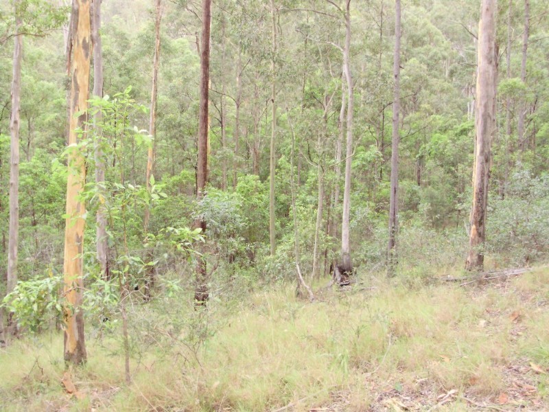 lot2 Antimony Road, Neerdie QLD 4570