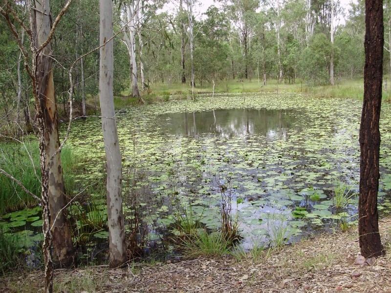 43 Jenkins Road, Gunalda QLD 4570