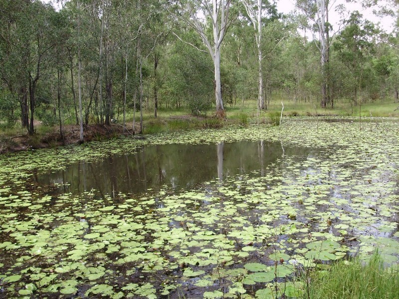 43 Jenkins Road, Gunalda QLD 4570