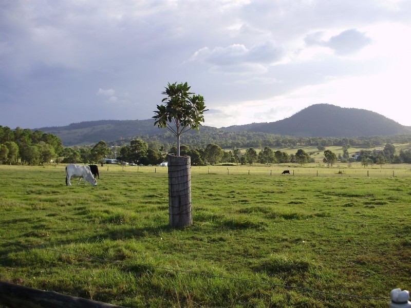 35 Arborten Road, Glenwood QLD 4570