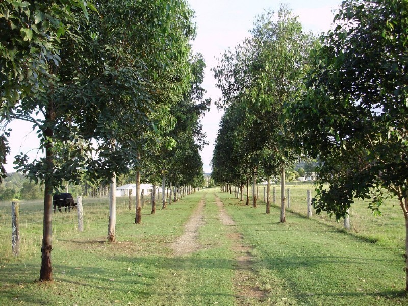 35 Arborten Road, Glenwood QLD 4570