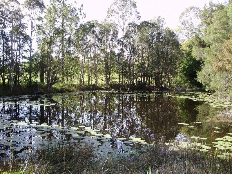 287 Tinana Road, Goomboorian QLD 4570