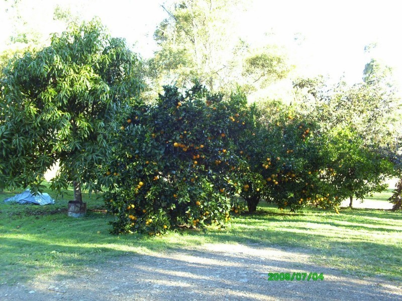 113 Dan Meurant Drive, Curra QLD 4570