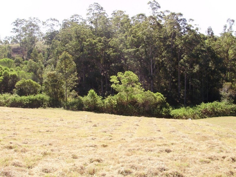 LOT 11 Forest Ridge Drive, Tamaree QLD 4570
