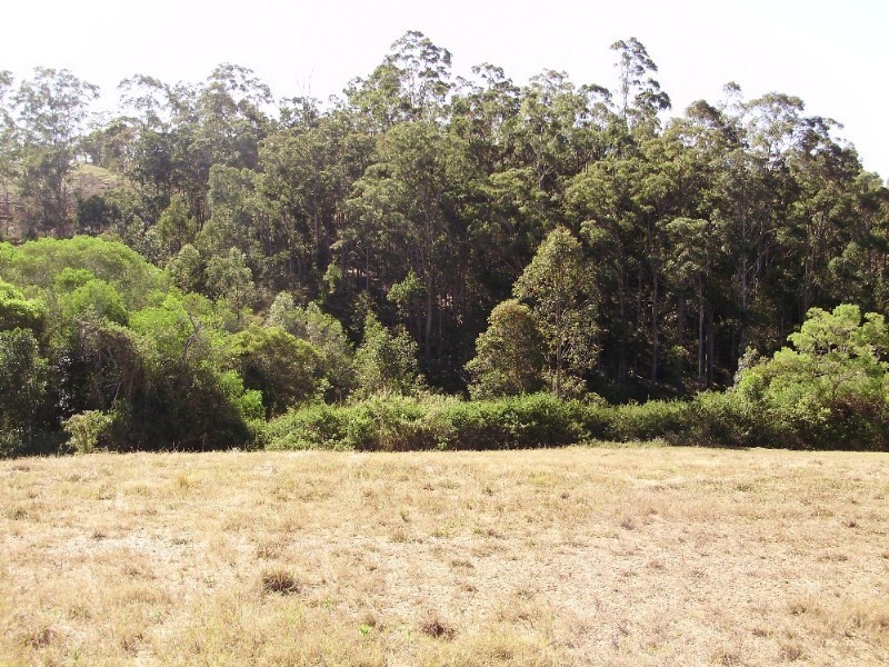 LOT 11 Forest Ridge Drive, Tamaree QLD 4570