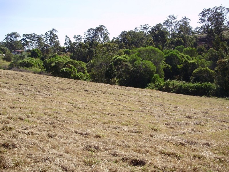 LOT 11 Forest Ridge Drive, Tamaree QLD 4570