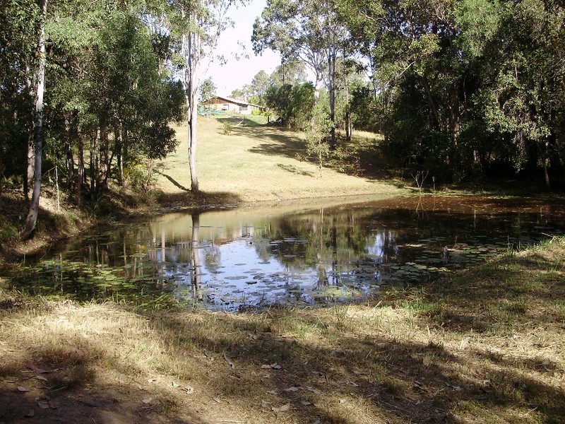 19 Burridge Road, Woondum QLD 4570