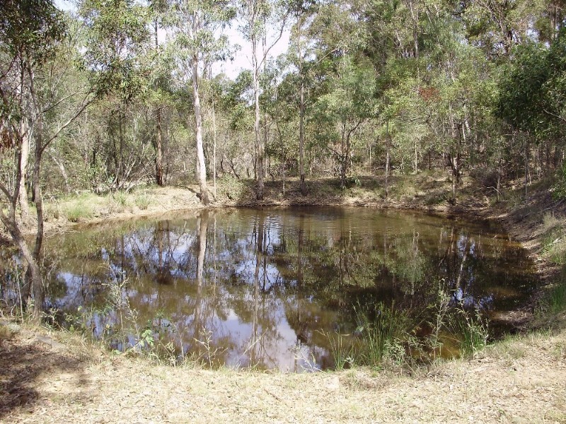 156 Cliff Jones Road, Curra QLD 4570