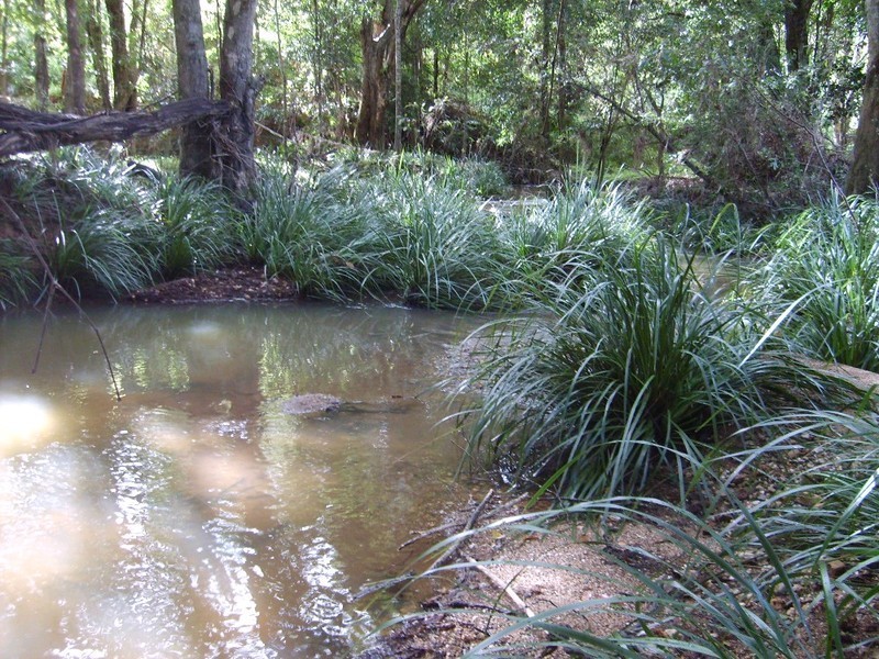 3 Upper Pinbarren Creek Road, Pomona QLD 4568