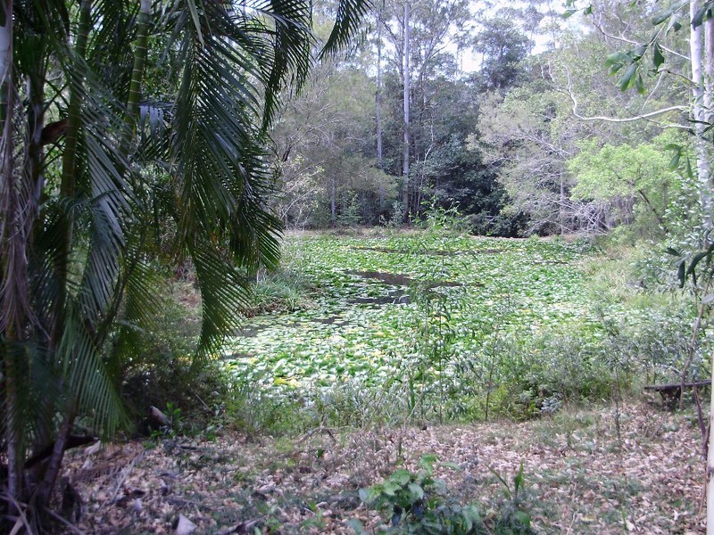 78 Firewheel Road, Pomona QLD 4568