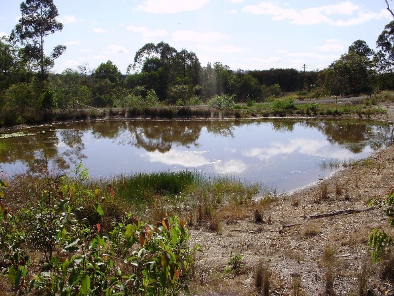 159 Tamaree Road, Tamaree QLD 4570