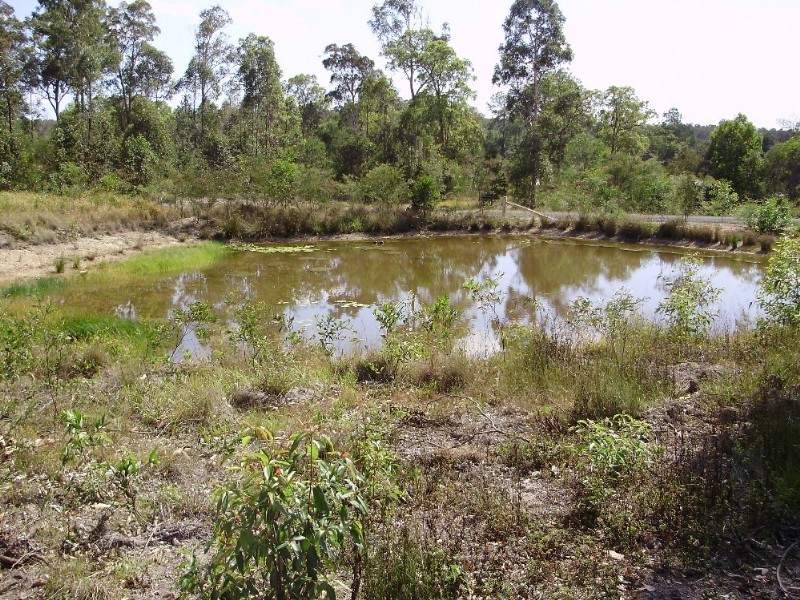 159 Tamaree Road, Tamaree QLD 4570