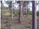 159 Tamaree Road, Tamaree QLD 4570