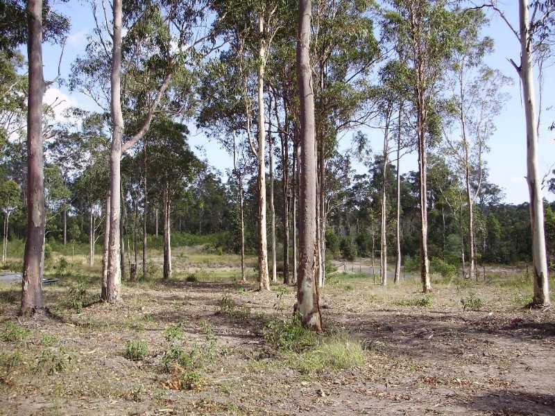 159 Tamaree Road, Tamaree QLD 4570