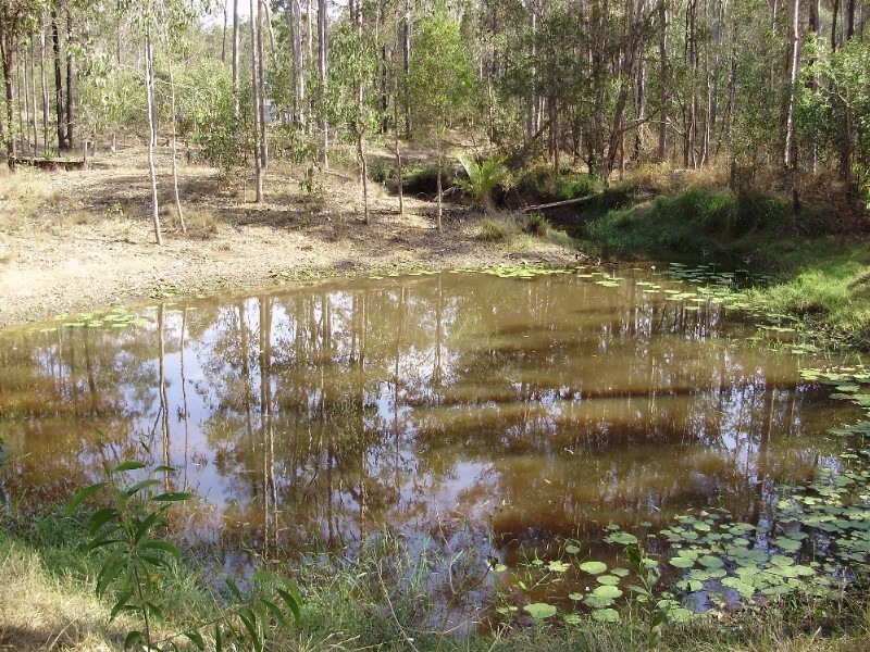 241 Cliff Jones Road, Curra QLD 4570