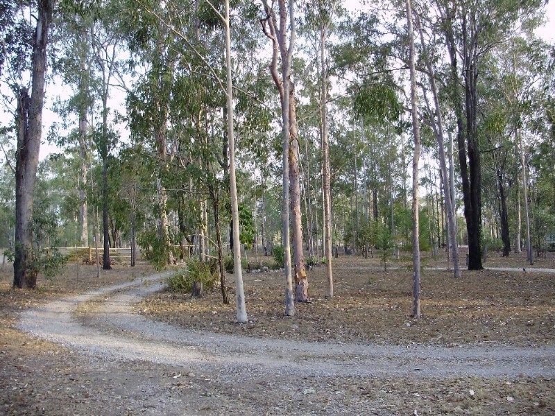 241 Cliff Jones Road, Curra QLD 4570