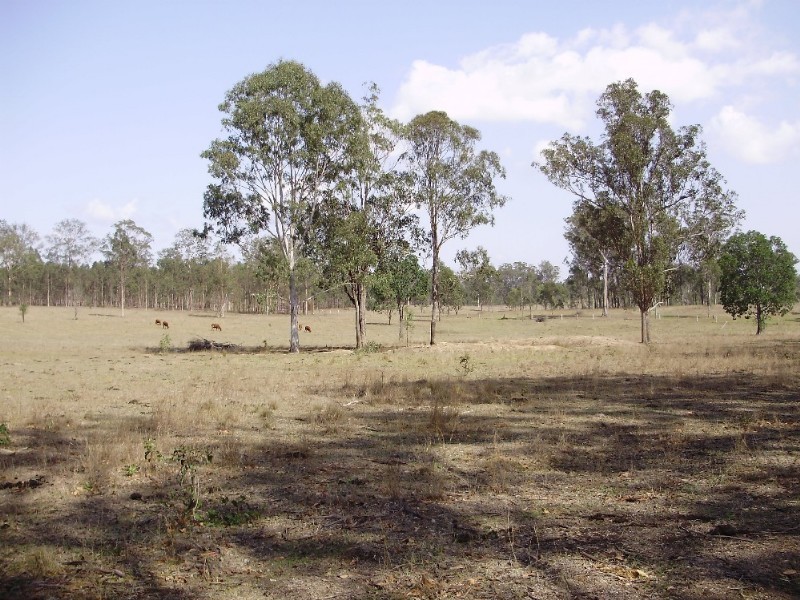 LOT 4 Little Widgee Road, Widgee QLD 4570