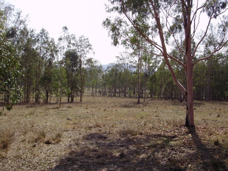 LOT 4 Little Widgee Road, Widgee QLD 4570