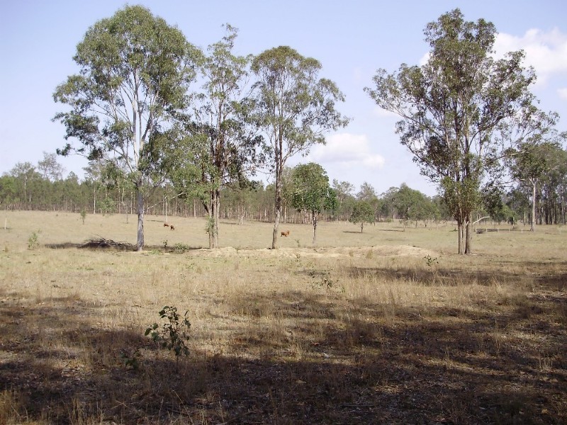 LOT 4 Little Widgee Road, Widgee QLD 4570