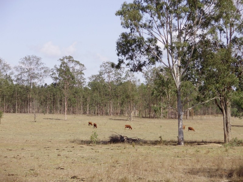 LOT 4 Little Widgee Road, Widgee QLD 4570