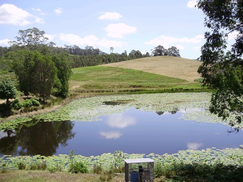 150 Meredith Road, Veteran QLD 4570