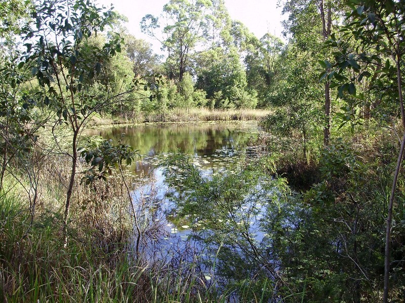 845 Old Maryborough Road, Corella QLD 4570