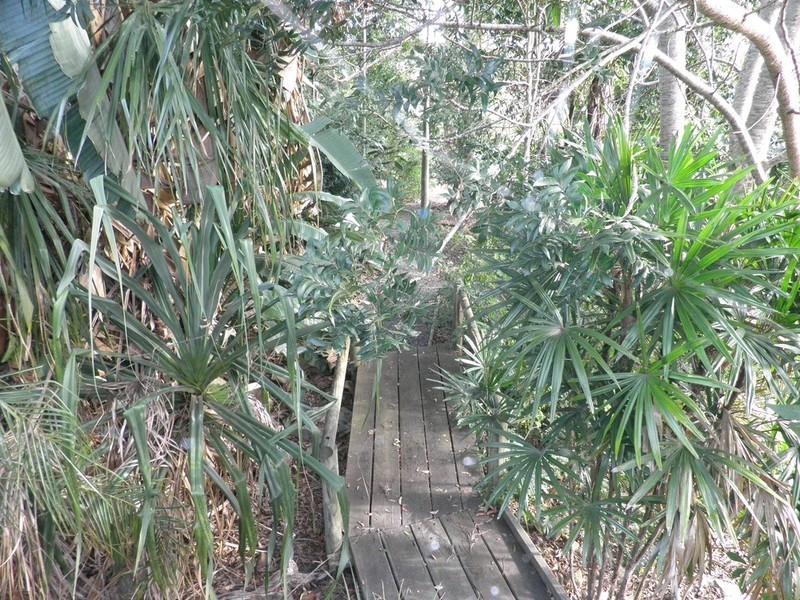 98 Bill James Road, Chatsworth QLD 4570