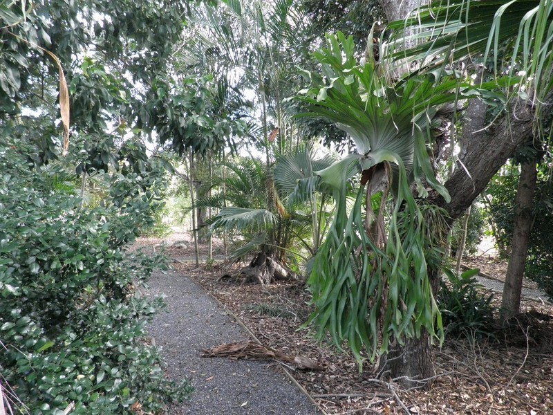 98 Bill James Road, Chatsworth QLD 4570