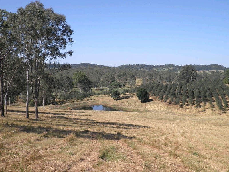 Lot 3 Kinen Lane, Canina QLD 4570