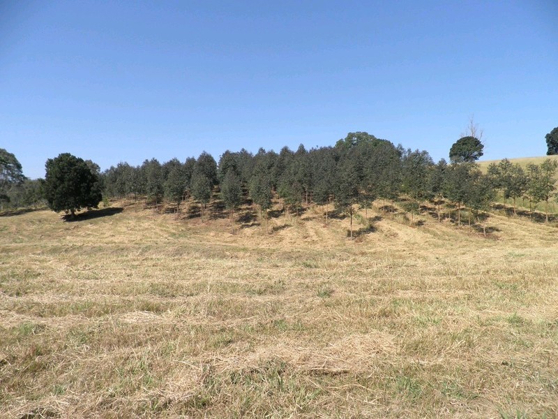 Lot 3 Kinen Lane, Canina QLD 4570