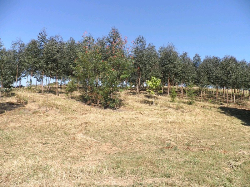 Lot 3 Kinen Lane, Canina QLD 4570