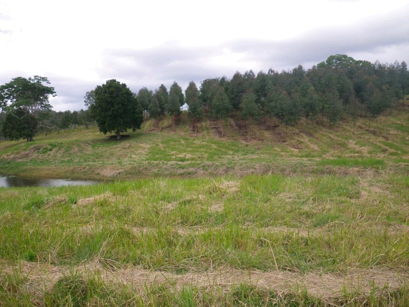 Lot 3 Kinen Lane, Canina QLD 4570