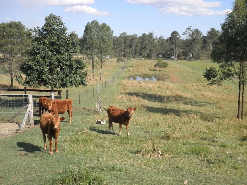 18 Dan Meurant Drive, Curra QLD 4570