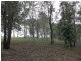 17 Taylor Road, Veteran QLD 4570