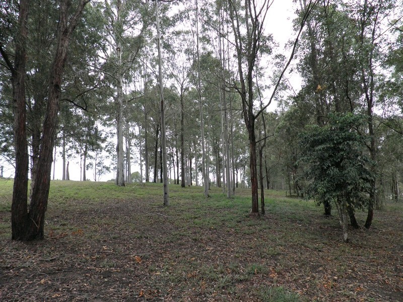 17 Taylor Road, Veteran QLD 4570