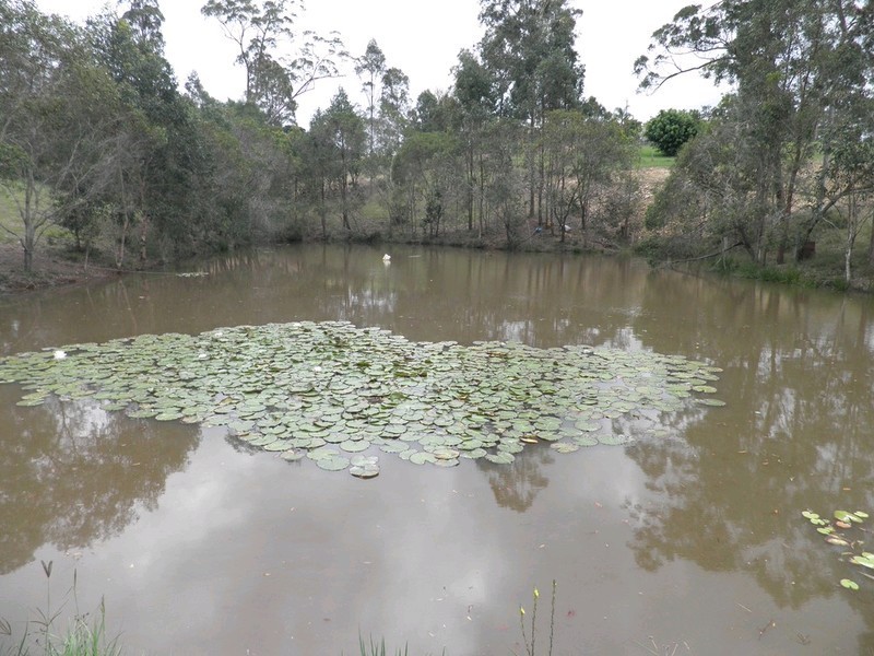 1 Karen Road, Tamaree QLD 4570