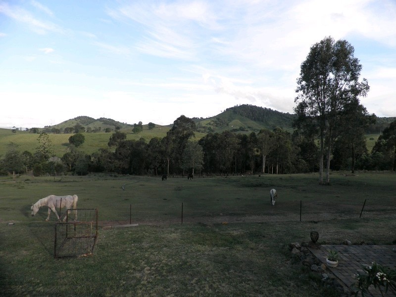 223 Calico Creek Road, Calico Creek QLD 4570