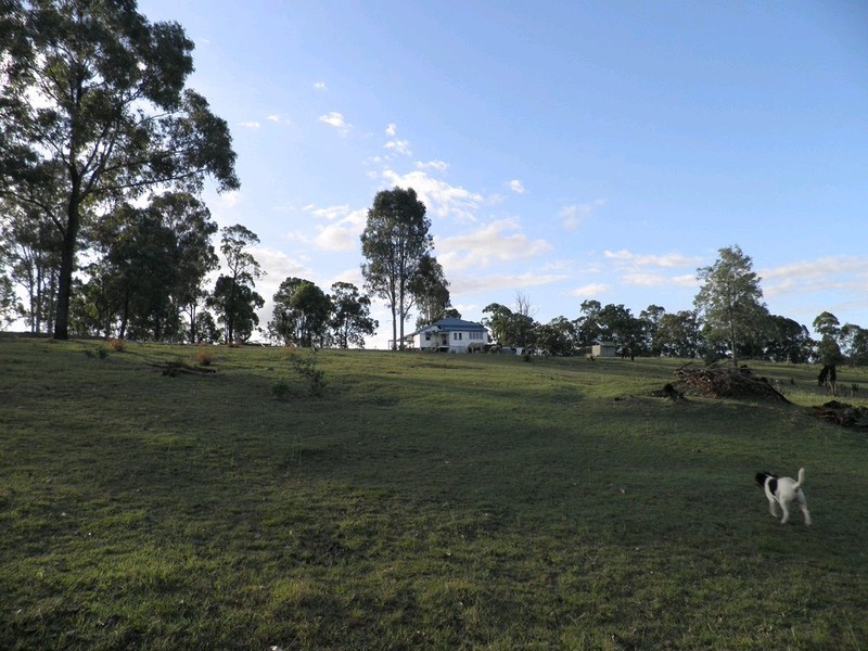 223 Calico Creek Road, Calico Creek QLD 4570