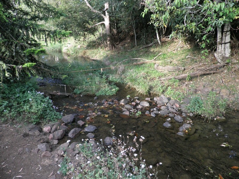 223 Calico Creek Road, Calico Creek QLD 4570