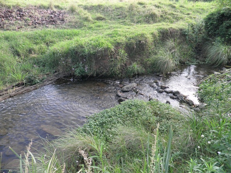 223 Calico Creek Road, Calico Creek QLD 4570