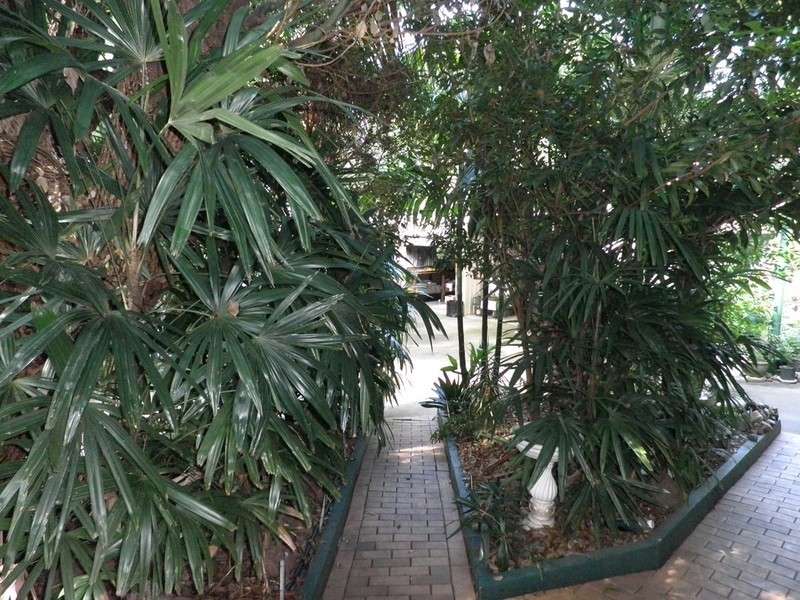 5 Power Street, Gympie QLD 4570