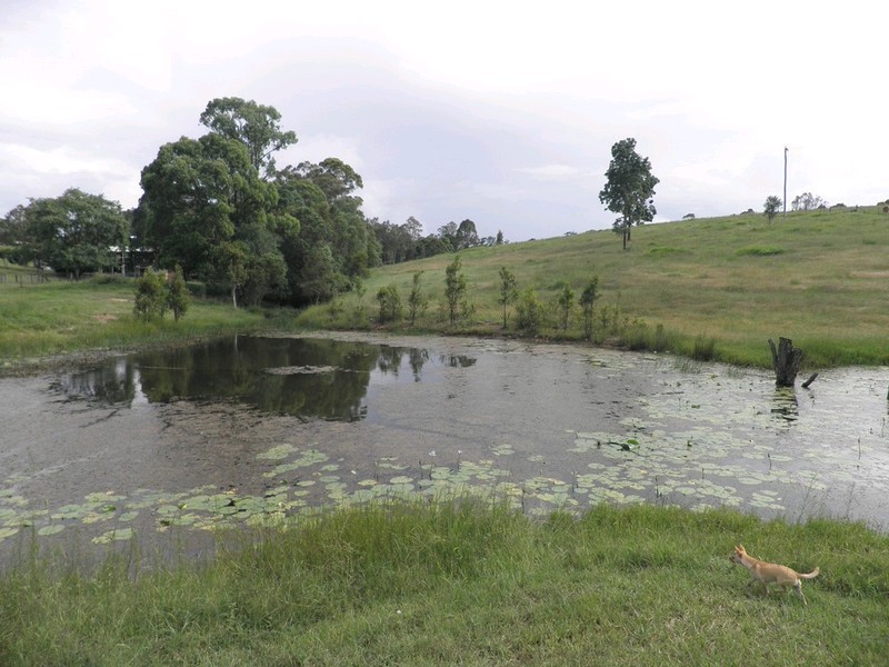 42 TIPPING ROAD, Chatsworth QLD 4570