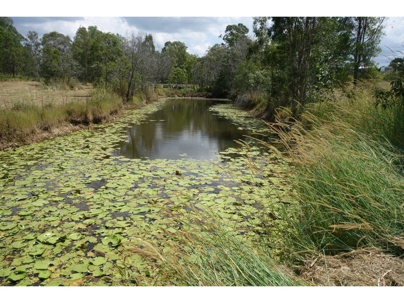 25 Redan Court, Greenbank QLD 4124