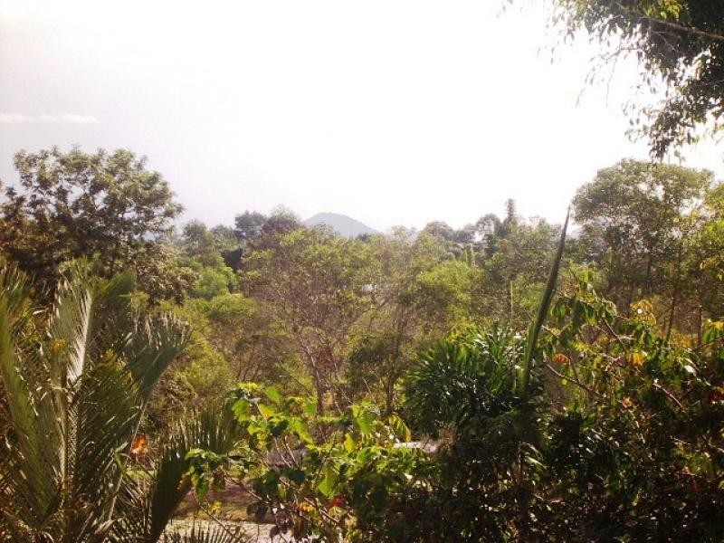 Elimbah QLD 4516