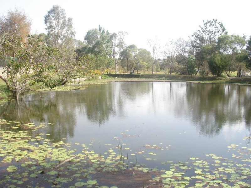 Elimbah QLD 4516